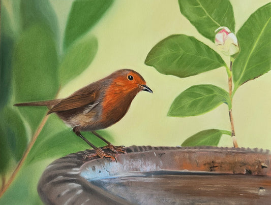 'Watching Over' Robin Fine Art Paper Print