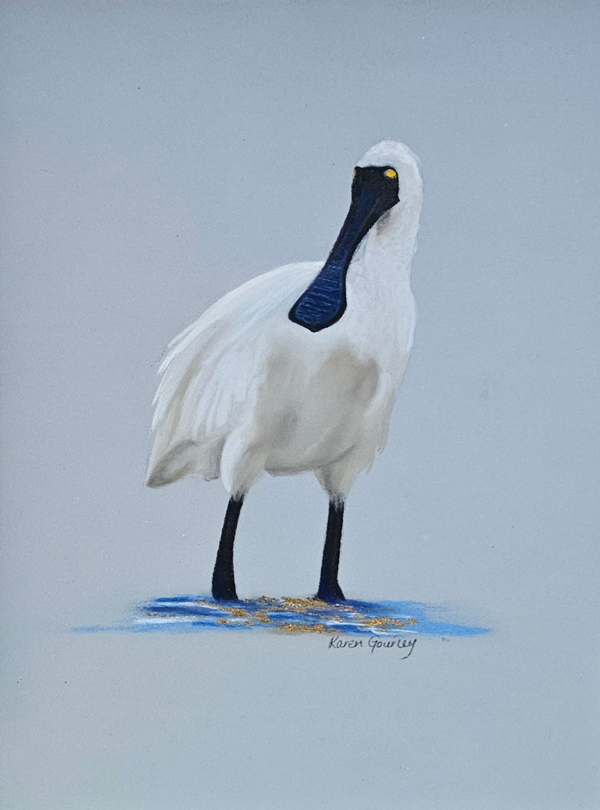 Spoonbill