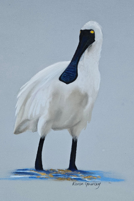 Spoonbill