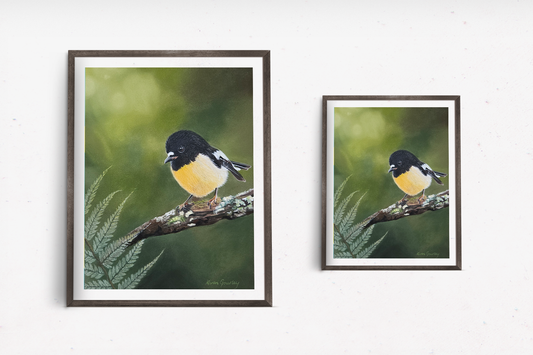 A Little Bit of Sunshine miromiro (tomtit) fine art print shown in two sizes