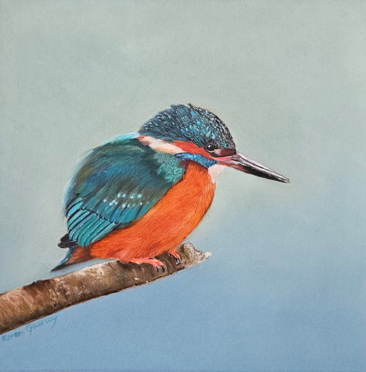 Colourful kingfisher bird perched on a branch against a light blue background