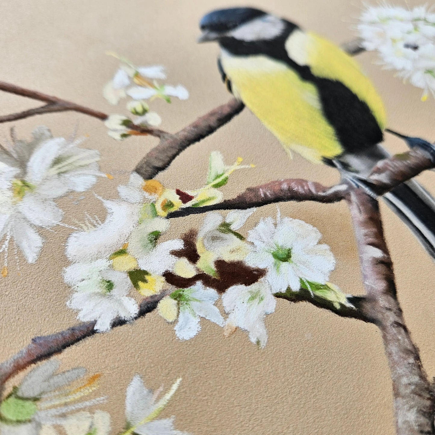 Blossom Serenade | Original Pastel Artwork Karen Gourley Artist