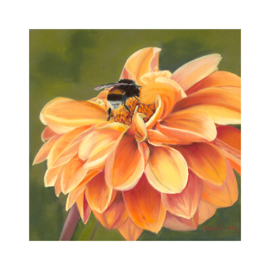 Full Bloom | Bumblebee Fine Art Print Karen Gourley Artist