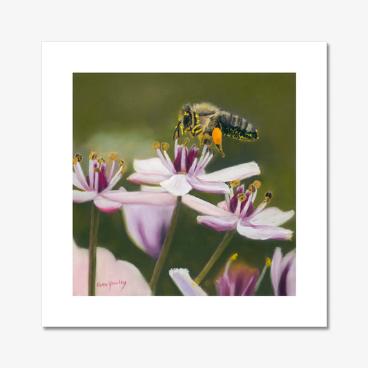 Honey Bee Fine Art Print Karen Gourley Artist