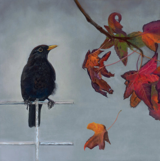detailed close up of a blackbird