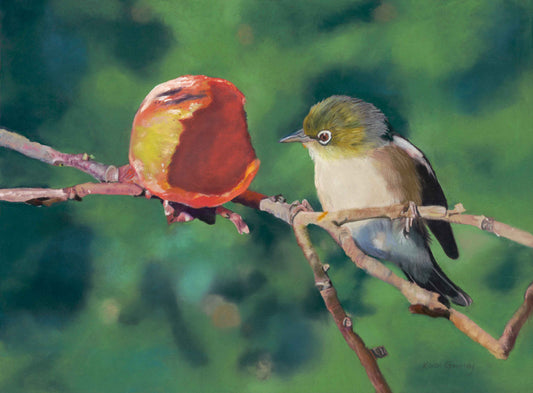 Waxeye bird perched on a branch with a blurred green background