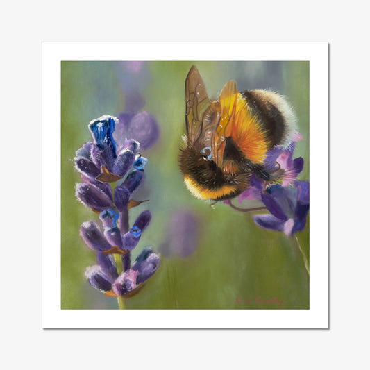 bee on lavender with green background