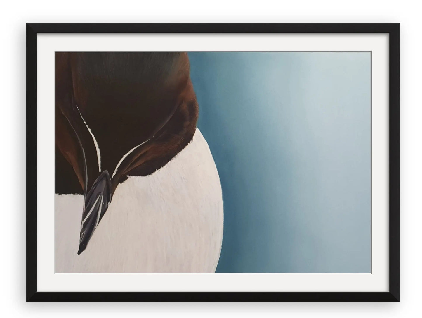 Framed pastel artwork of a razorbill against a blue-graduated background.