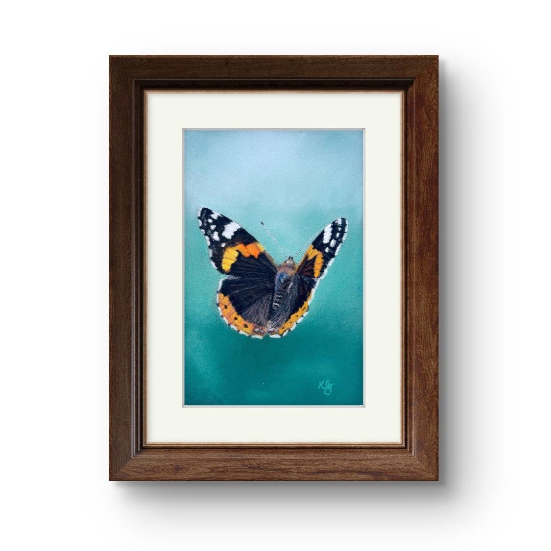 Red Admiral butterfly
