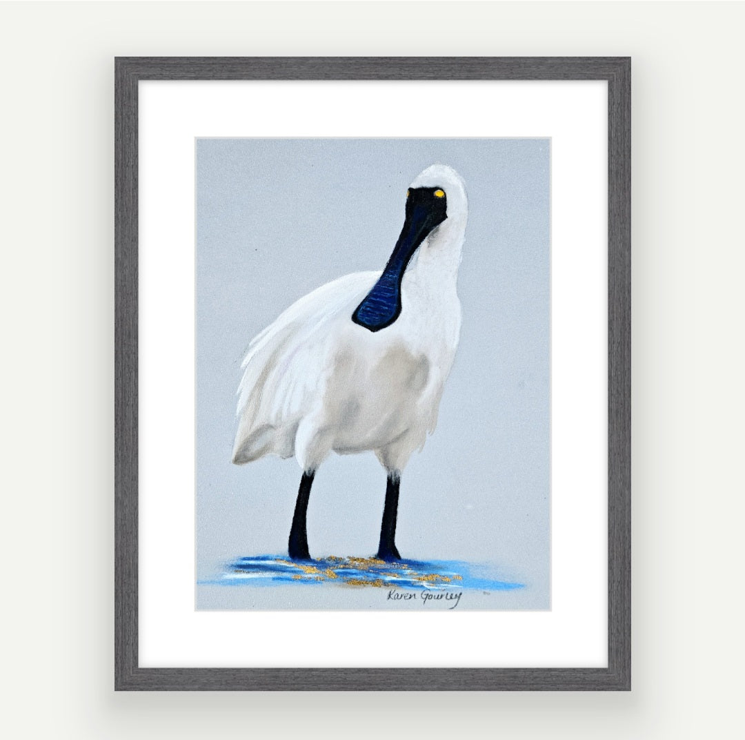 Spoonbill