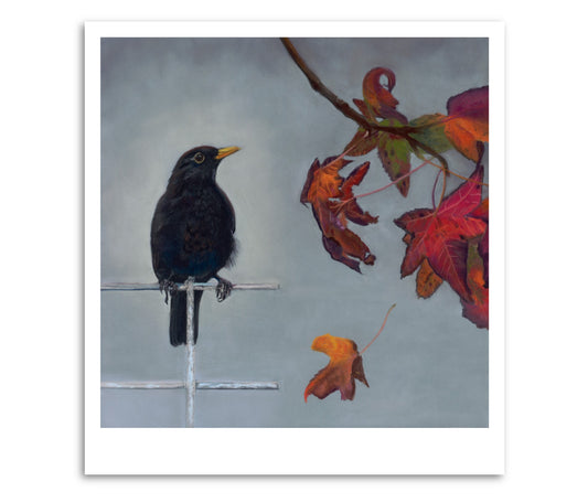 A fine art print depicting a blackbird perched on a branch with autumn leaves in the background.