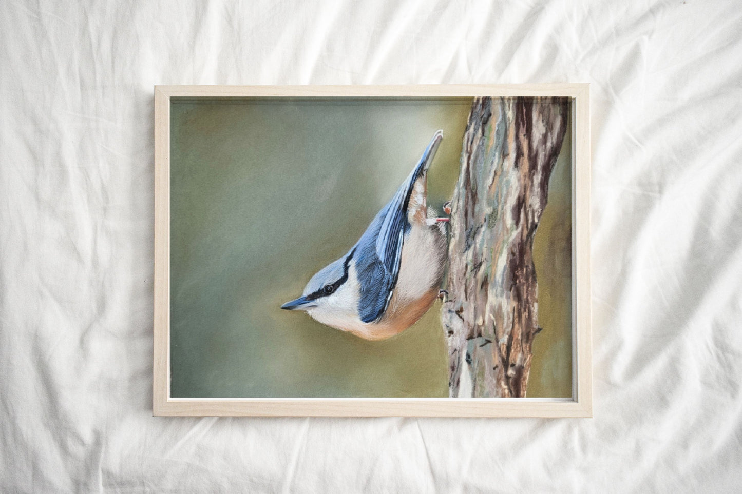 nuthatch painting framed