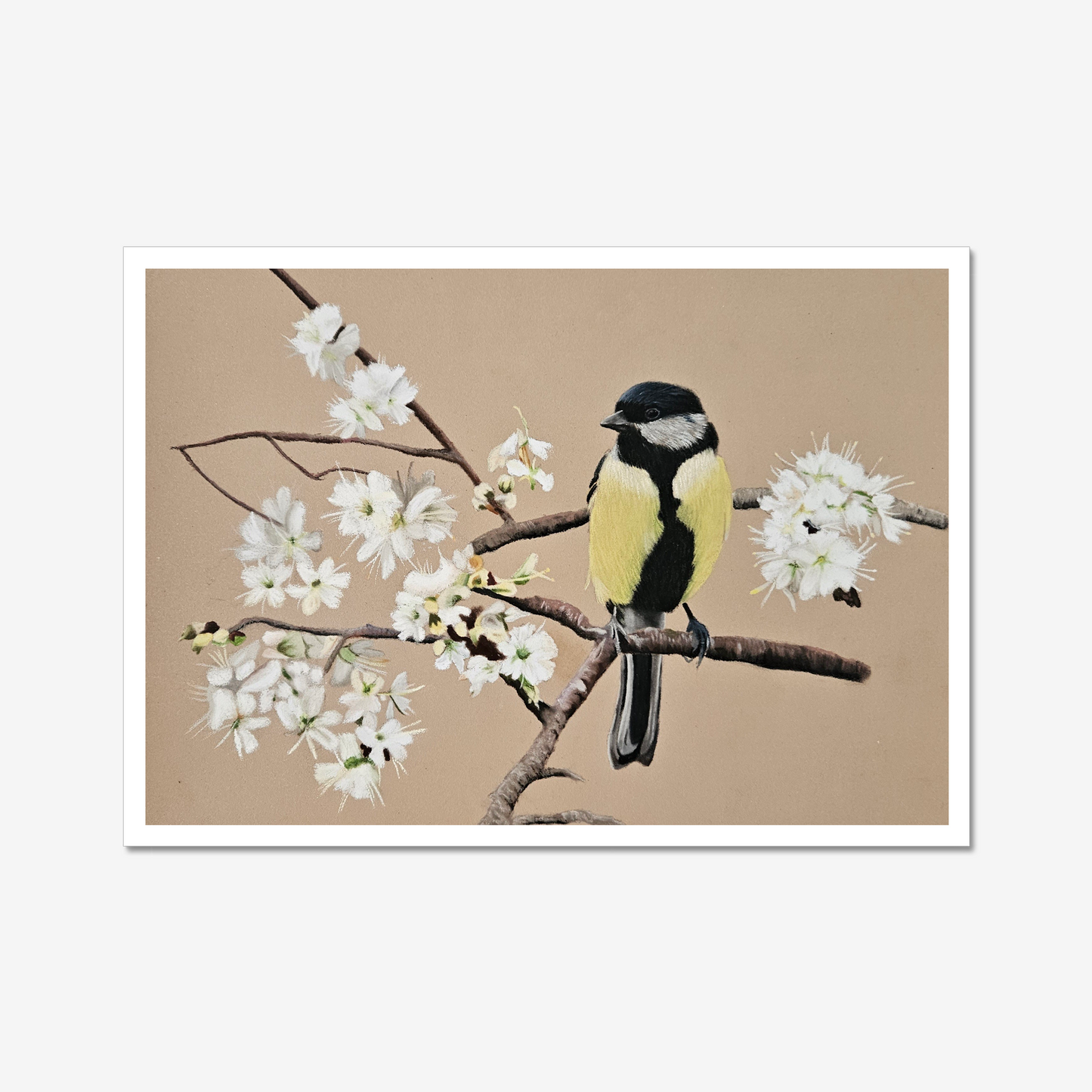 Blossom Serenade Fine Art Print