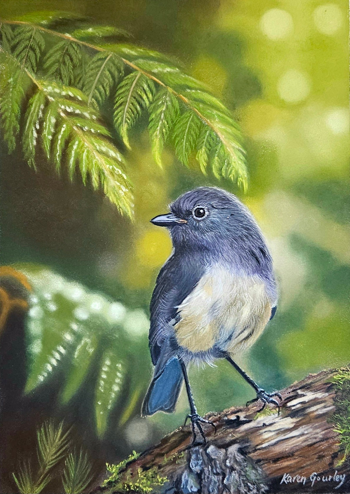 South Island Robin - Original Soft Pastel Painting Karen Gourley