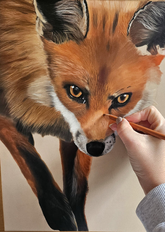 Where Our Paths Cross: The Story Behind My Red Fox Painting