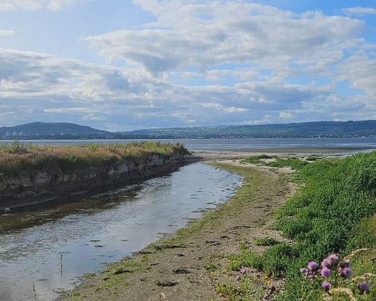 Belfast Lough Karen Gourley Artist