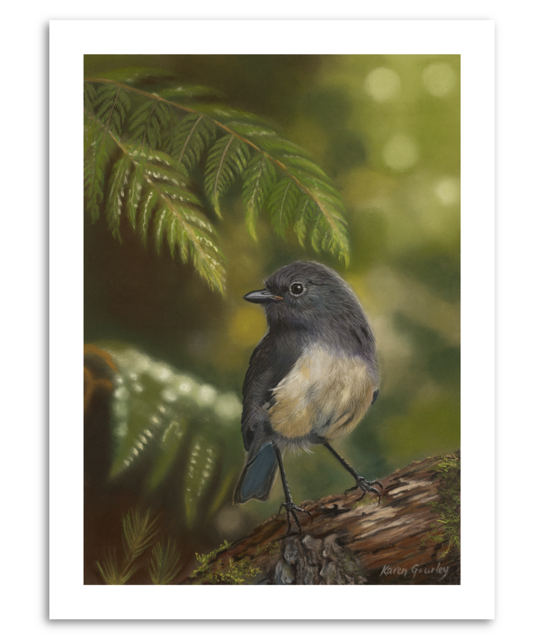 Bird of the Year is back. And I have a problem...