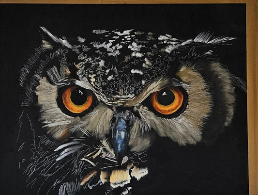 Close-up of a Eurasian eagle owl pastel painting in progress, showing detailed orange eyes and feather texture on black paper.