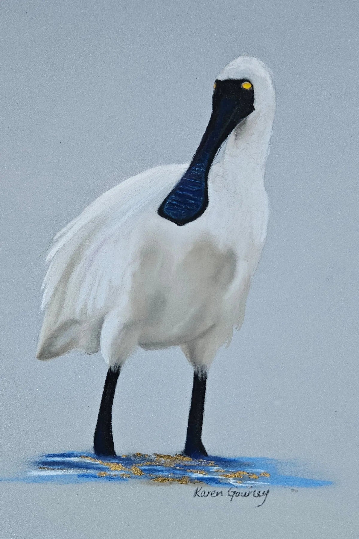 Spoonbill Karen Gourley Artist