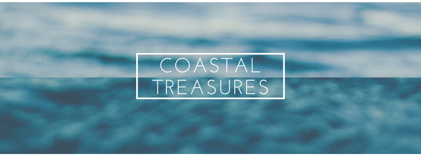 Coastal Treasures Collection
