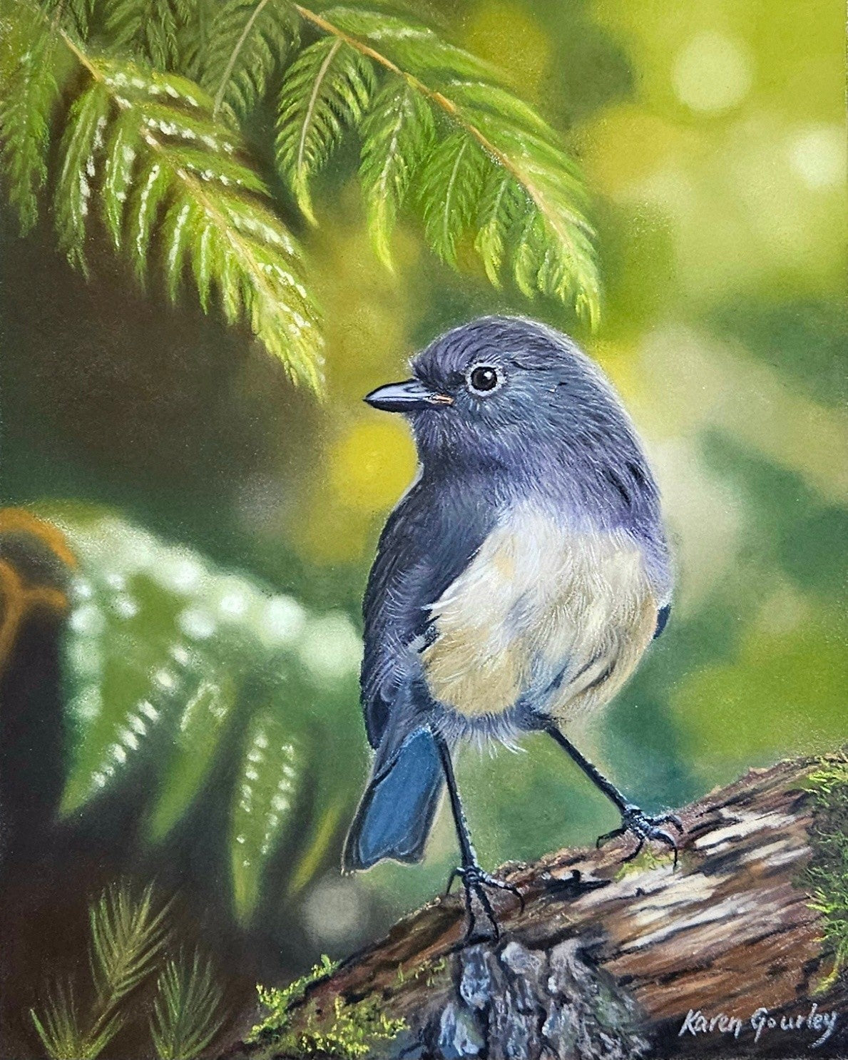 New-Zealand-Native-Birds Karen Gourley Artist