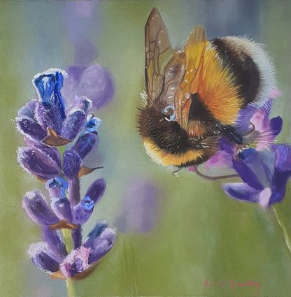 Summer Evening Fine Art Print