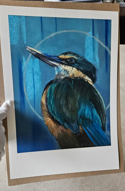 Kotare Sacred Kingfisher - Limited Edition Fine Art Print