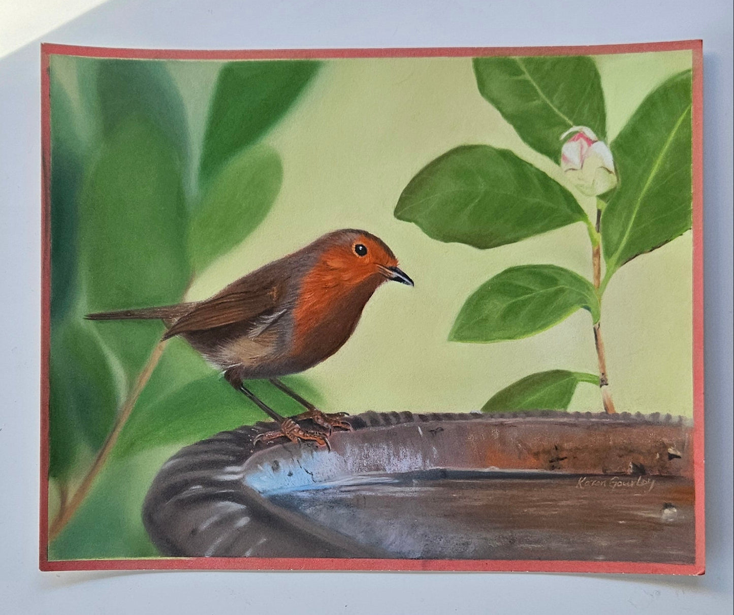 'Watching Over' Robin Original Painting Karen Gourley Artist