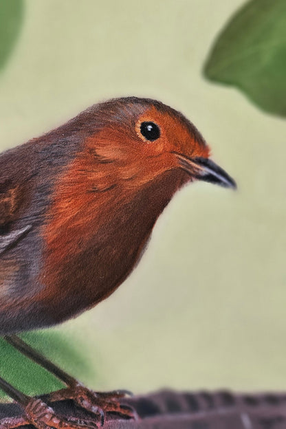 'Watching Over' Robin Original Painting Karen Gourley Artist