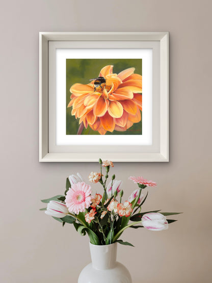 Full Bloom fine art print in a room setting — white-framed bumblebee and orange dahlia artwork by Karen Gourley, styled with flowers