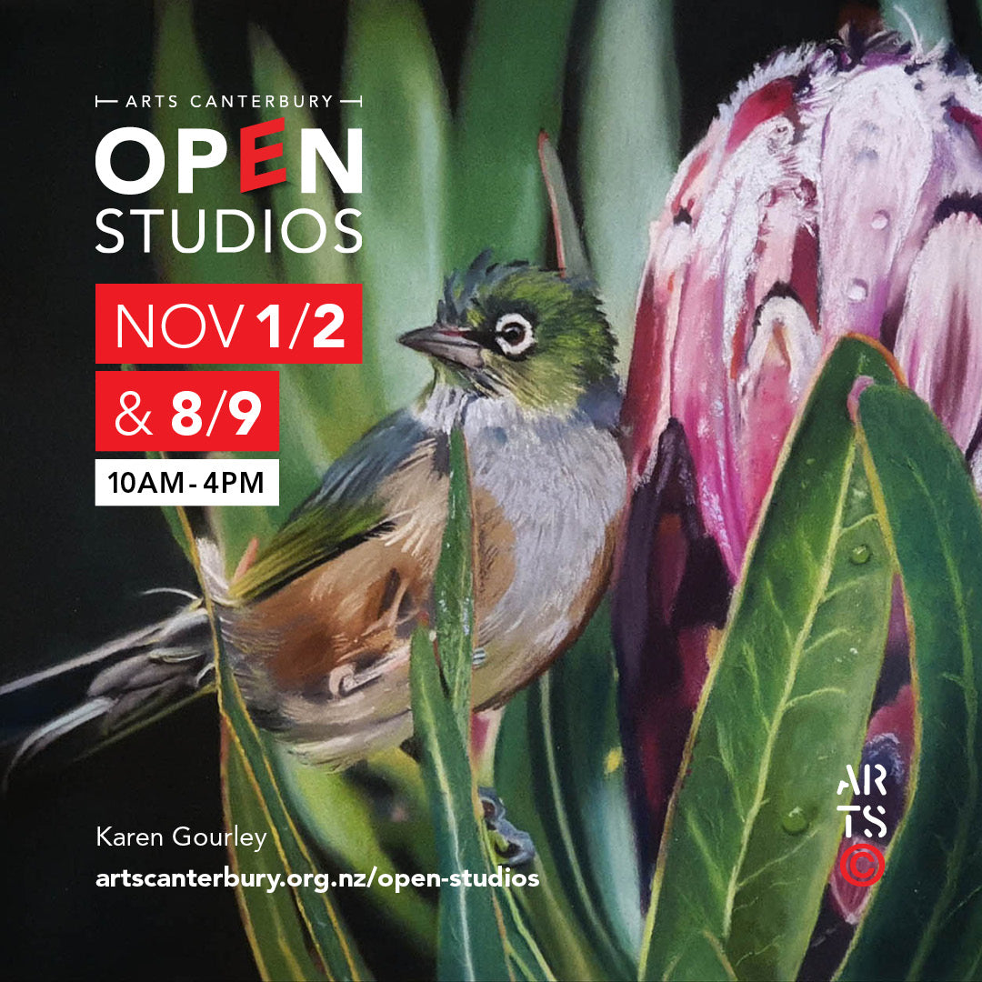 Promotional poster for Arts Canterbury Open Studios with a bird and flower illustration.