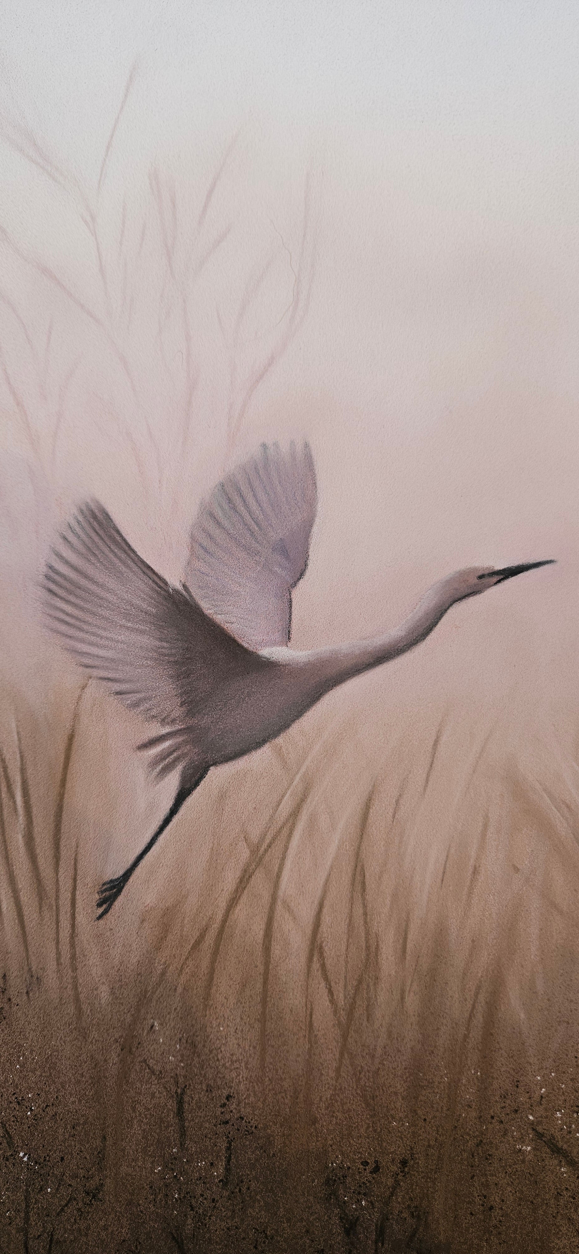 Bird in flight with a textured background