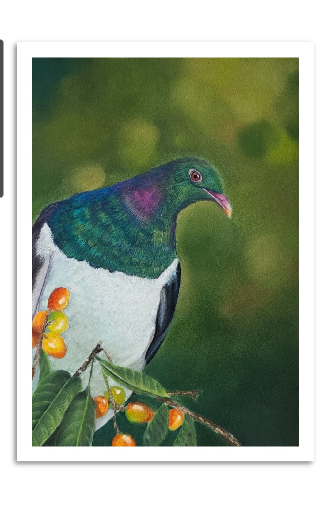 A Place to Pause kererū (NZ wood pigeon) fine art print on paper with a white border, by Karen Gourley Artist