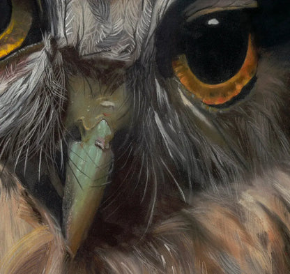 Close-up of an owl with a dark background