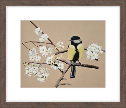 Blossom Serenade Karen Gourley Artist