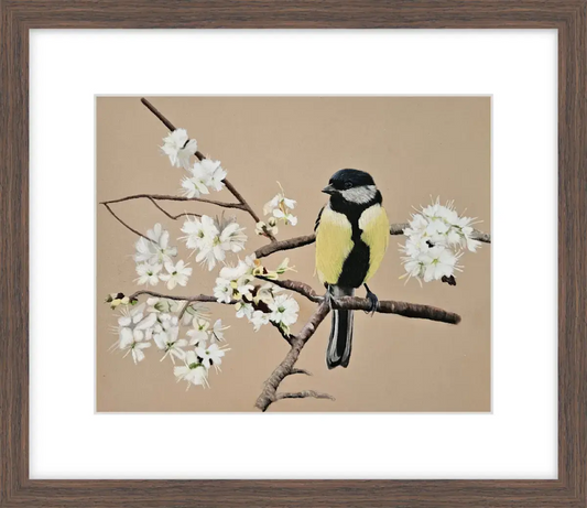 Blossom Serenade Karen Gourley Artist