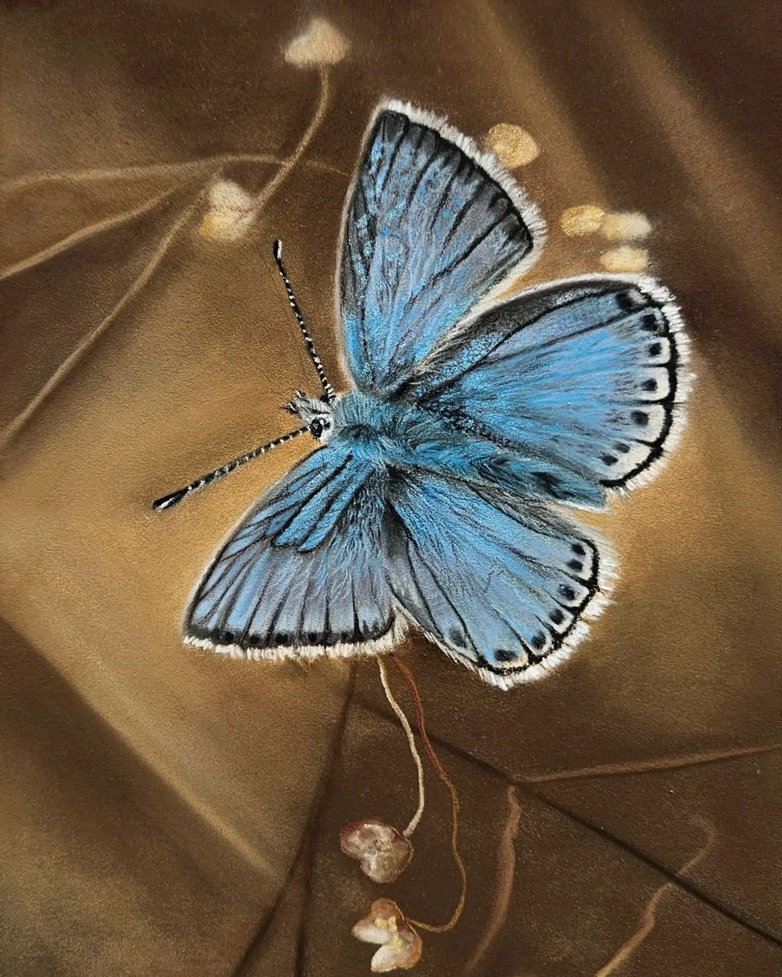 Chalkhill Blue Butterfly Painting Karen Gourley Artist