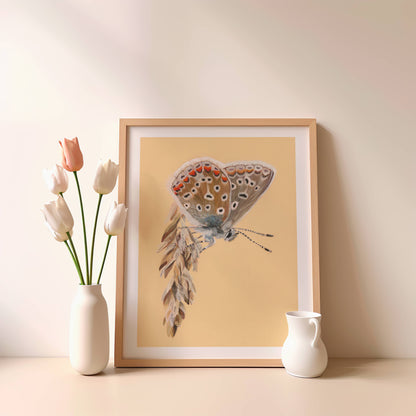 Common Blue Butterfly Fine Art Print