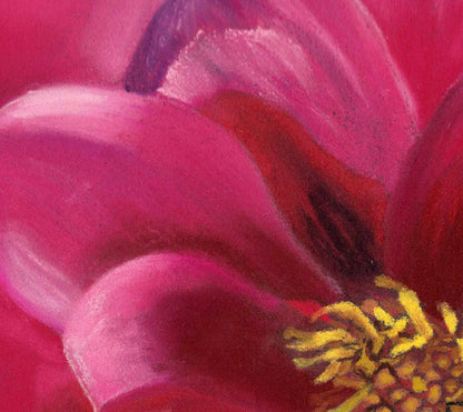 Close detail of Dahlia Delight fine art print showing bumblebee nestled among velvety dahlia petals — Karen Gourley Artist