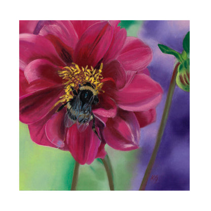 Dahlia Delight fine art print by Karen Gourley — bumblebee nestled in a deep crimson dahlia, shown with white border