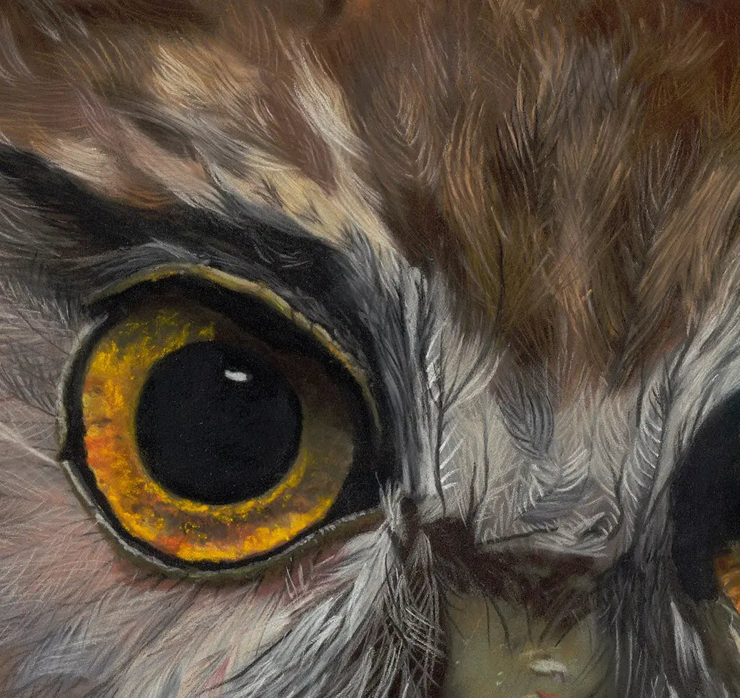 Close-up of an owl with a dark background