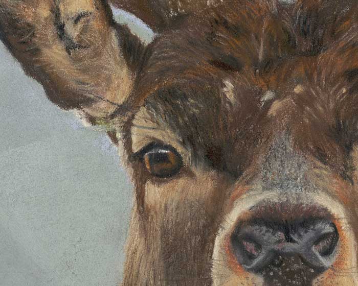 Eye of the Beholder Karen Gourley Artist