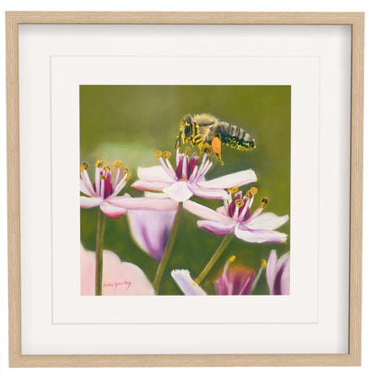Honey Bee Fine Art Print