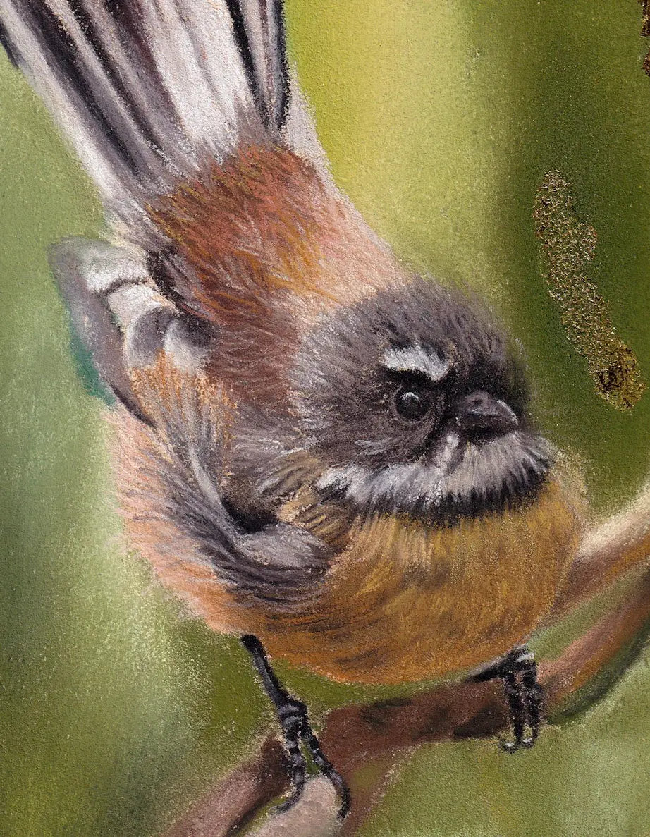 Just Passing Through | Fantail Fine Art Print Karen Gourley Artist