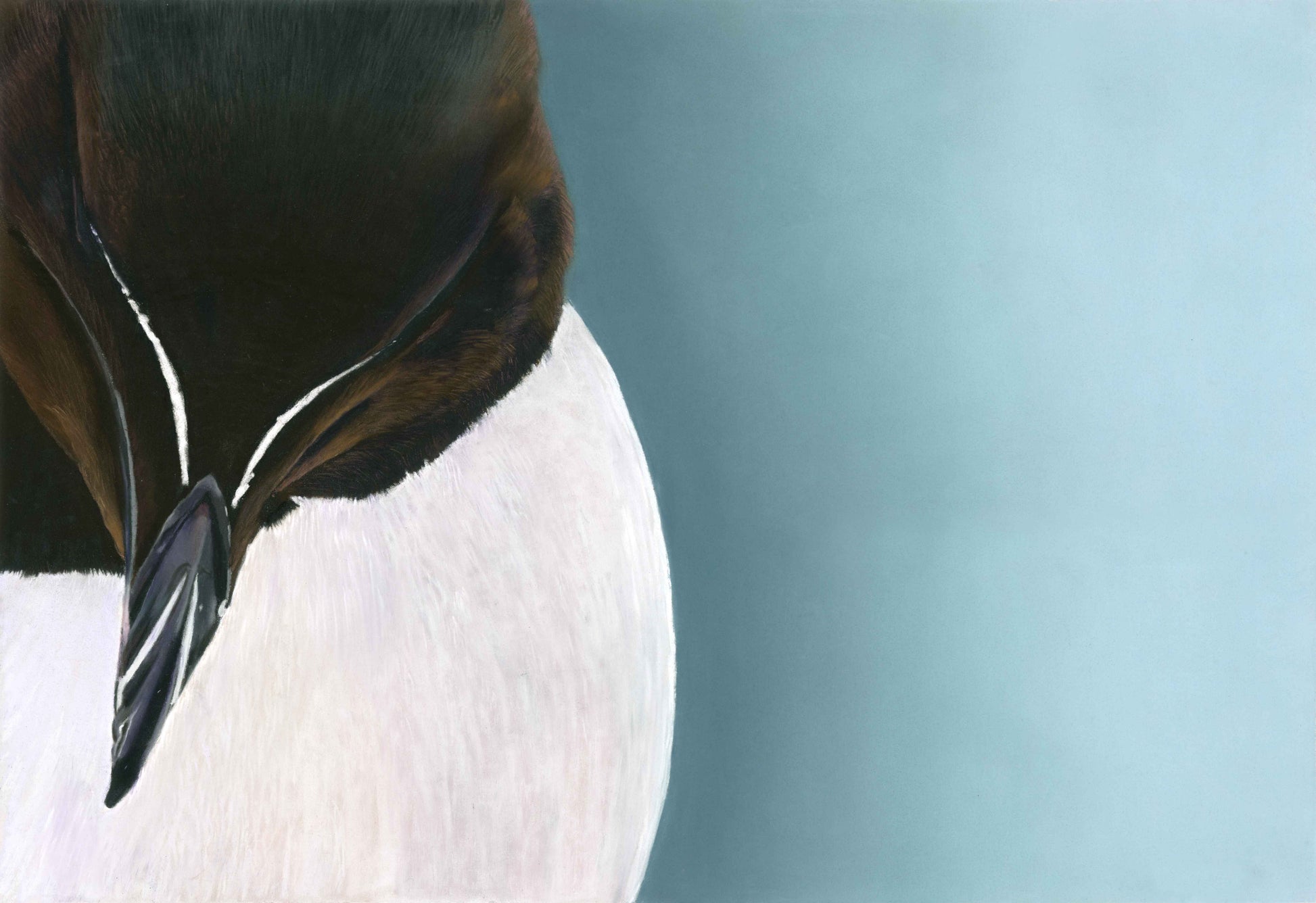 Close-up of a bird with a blurred blue background