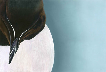 Close-up of a bird with a blurred blue background