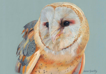 Silent Observer — original soft pastel painting of a barn owl by Karen Gourley Artist
