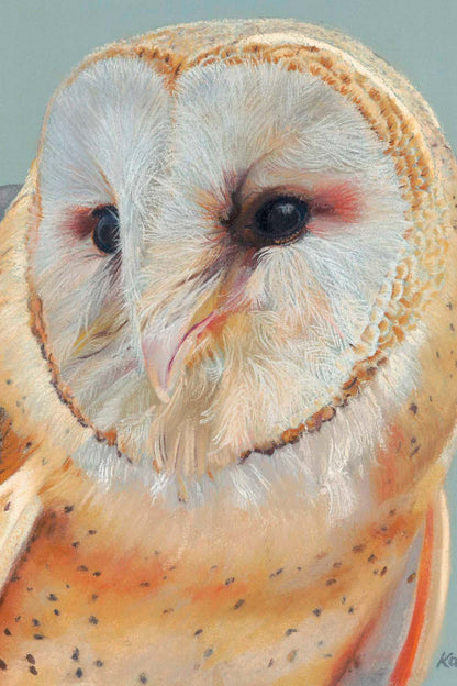 A close-up painted owl portrait with cream, tan, gray, and orange feather details against a pale blue-gray background. The artwork appears to be a fine art print or painting, with the artist signature visible in the lower right corner.