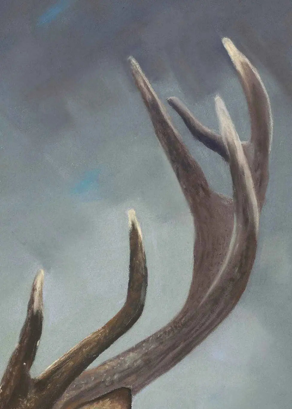 antler details