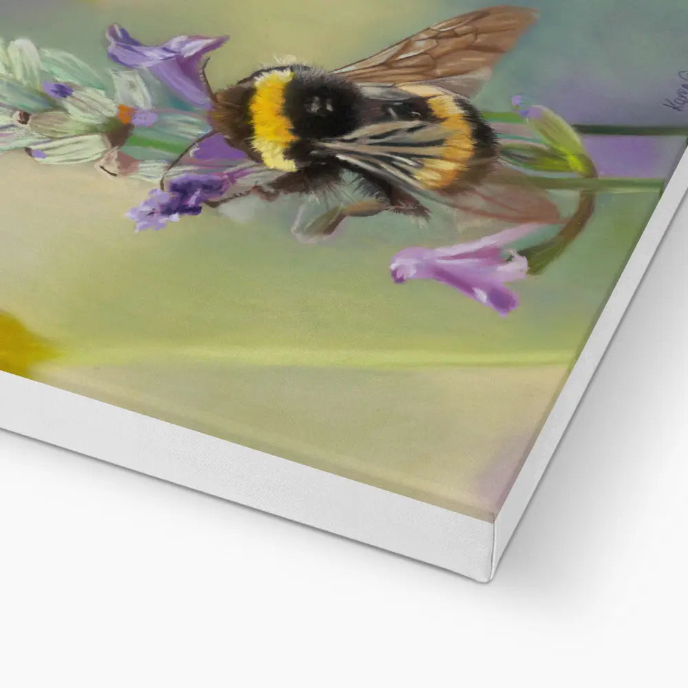 purple haze bee on lavender canvas print edging